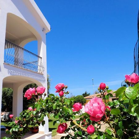 Hotel La Tartaruga Bianca 발레도리아 외부 사진