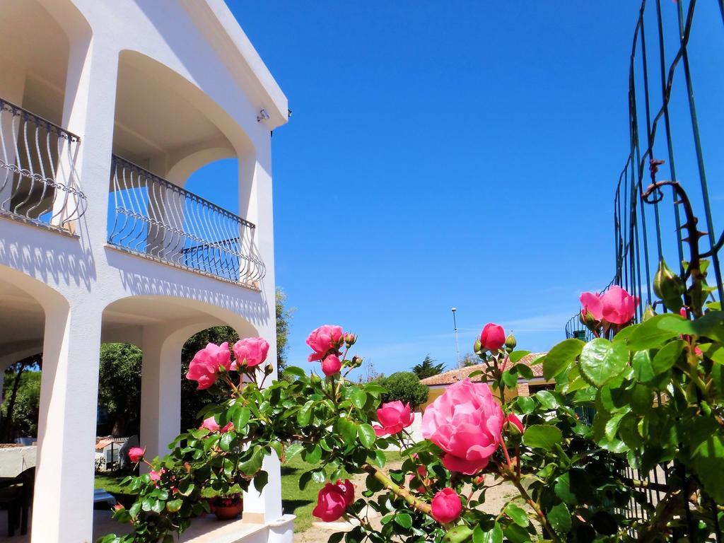 Hotel La Tartaruga Bianca 발레도리아 외부 사진